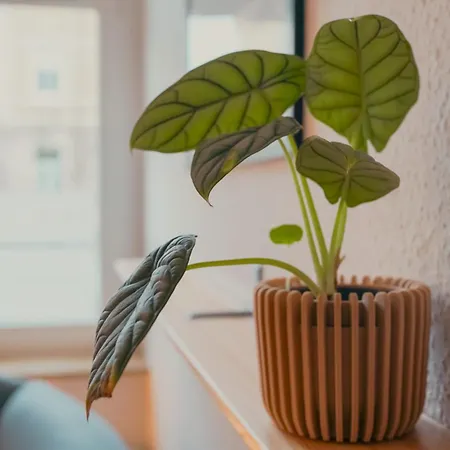 Zentrale, Gemuetliche In ドレスデン
