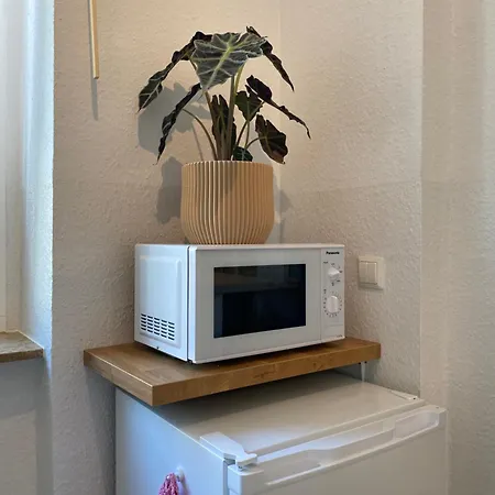 Zentrale, Gemuetliche In Dresden